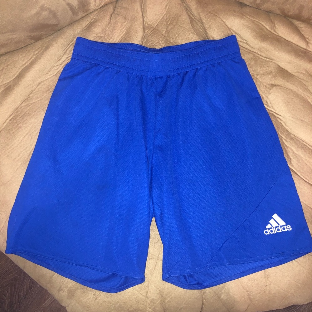 Sports shorts